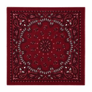 Large Paisley Scarf BERGUNDER