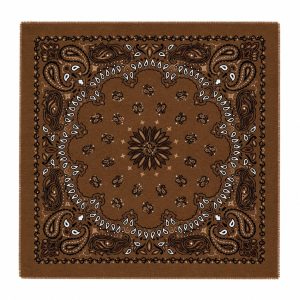 Large Paisley Scarf COQNAC