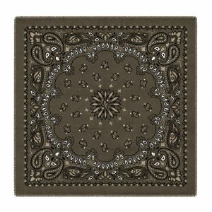 Large Paisley Scarf army