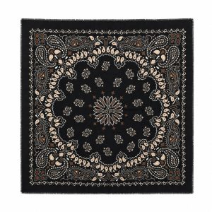 Large Paisley Scarf sort